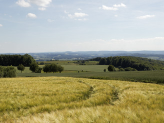Landschaft am Kleeberg CC BY-SA - LTM.jpg