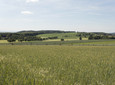 Landschaft am Kleeberg 2 CC BY-SA - LTM.jpg