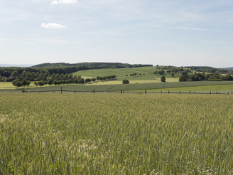 Landschaft am Kleeberg 2 CC BY-SA - LTM.jpg