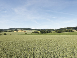 Landschaft bei Humfeld CC BY-SA - LTM.jpg