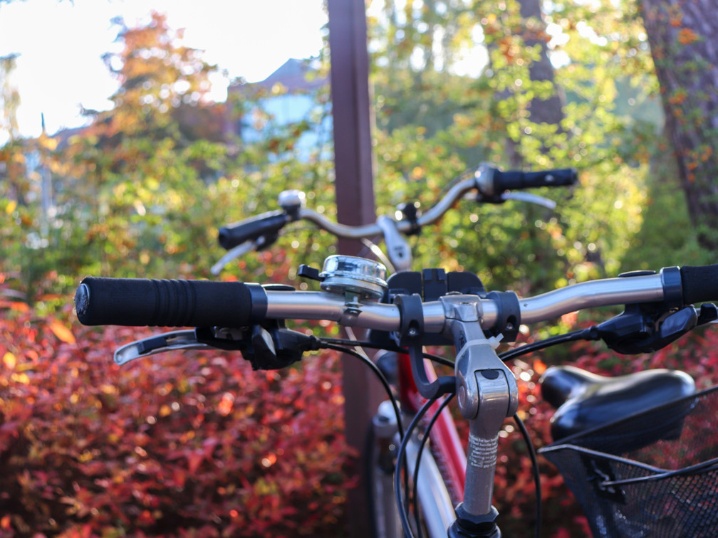Fahrrad in Schloß Holte-Stukenbrock