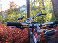 Fahrrad in Schloß Holte-Stukenbrock