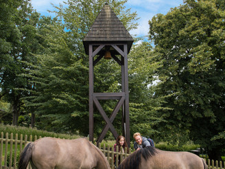 Pferde an der Kirchstelle Andepen