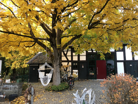 Gästehaus im Herbst