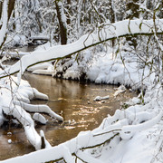 Winterliches Furlbachtal in Schloß Holte-Stukenbrock