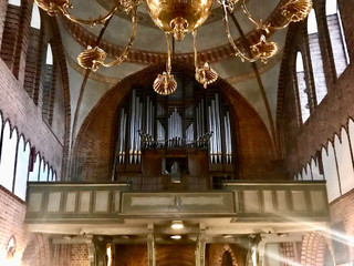 Meldorfer Dom Orgel