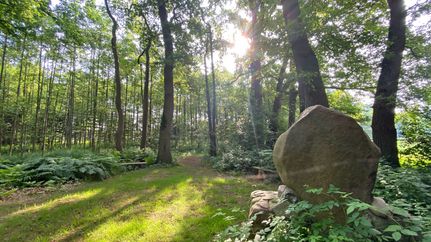 Das Freudenthaldenkmal in Fintel