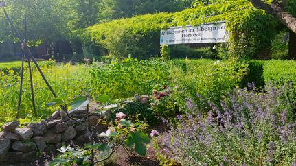 Der Bibelgarten in Horstedt