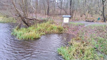 Kanu: Ein- und Ausstiegsstelle Bremervörde "Vorwerkstraße"