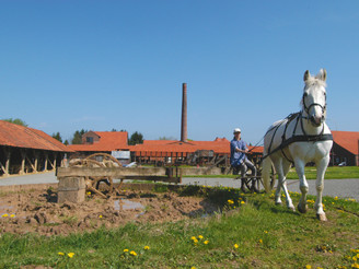 Betrieb des Pferdegöpels zur Lehmaufbereitung