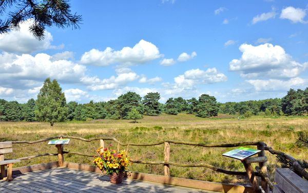 Die Heidetribühne am Naturschutzgebiet Wolfsgrund