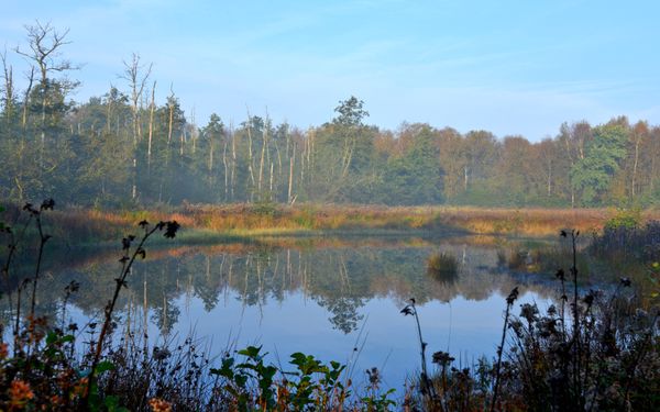 Laubfroschbiotop Eversen in herbstlicher Färbung