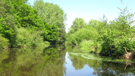 Wasserwandern auf der Oste