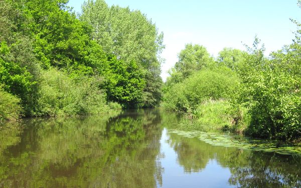 Wasserwandern auf der Oste