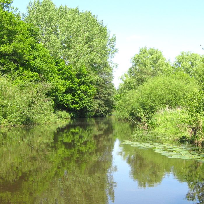 Wasserwandern auf der Oste