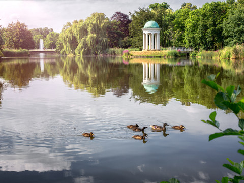 Der Agra-Park in Markkleeberg im Frühling mit einem Teich auf dem kleine Enten schwimmen, Leipzig Region, Natur, Freizeit, Aktiv