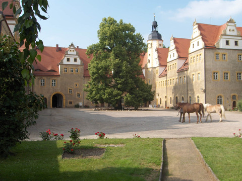 Innenhof des Alten Jagdschloss Wermsdorf mit Bäumen und Pferden, Sehenswürdigkeit, Region, Schloss, Geschichte, Kultur
