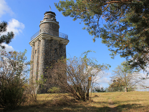 Blick auf den Bismarckturm, umgeben von Natur, Freizeit, Aktiv, Region