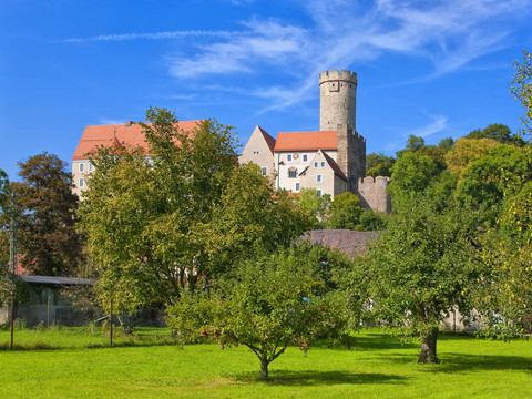 Grüne Sommerwiese mit Burg Gandstein im Hintergrund, Ausflugsziele, Kultur, Sehenswürdigkeiten