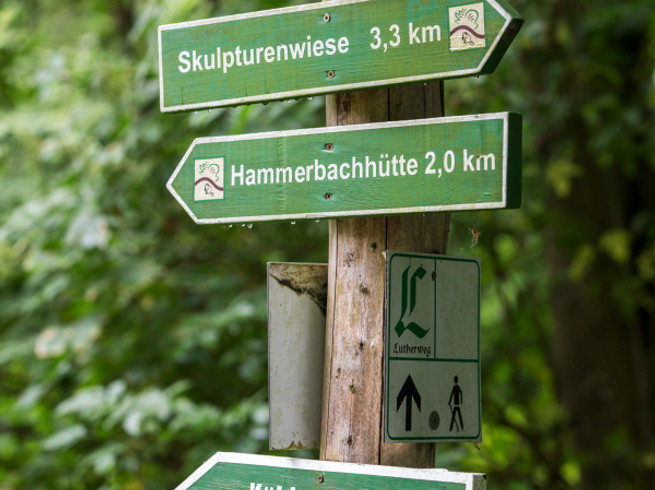 Wegweiser im Wald auf der Heide-Biber-Tour mit Billi Bockert in der Region Leipzig