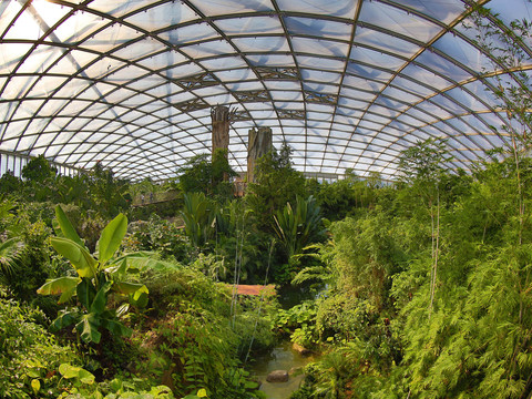 Blick auf den Dschungel und die Glaskuppel im Tropengehege Gondwanaland im Zoo Leipzig