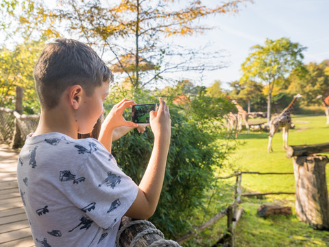 Ein Junge steht auf der Aussichtsplattform des Zoos Leipzig vor dem Giraffengehege und fotografiert mit seinem Smartphone, Familie, Kinder, Ausflug