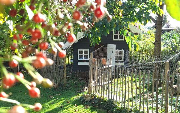 Lady Buttercups World