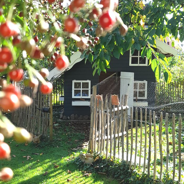 Lady Buttercups World