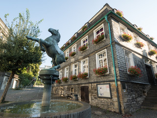 Fontana del cavallo e casa storica a Mettmann