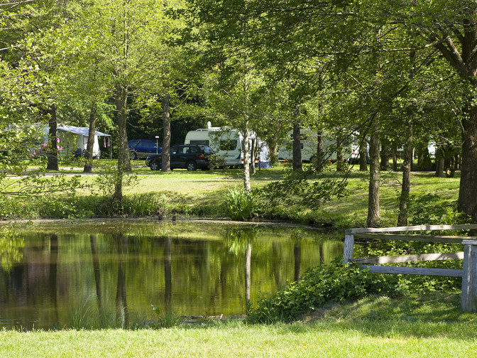 Campingplatz_Geesthof_Stellplaetze_mit_Teich_BR_Geesthof.jpg
