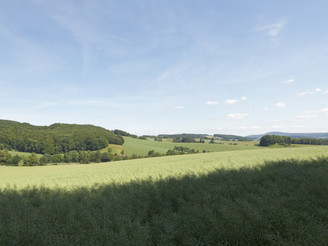 Landschaft bei Sternberg CC BY-SA - LTM.jpg