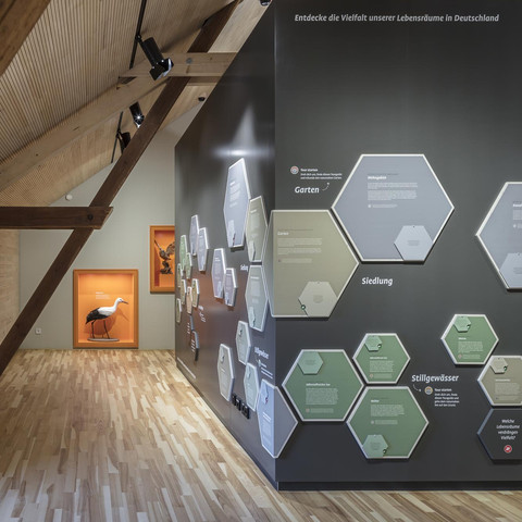 Ausstellung „Vielfalt braucht Vielfalt“, Gut Herbigshagen, stories within architecture