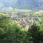 Sicht vom Altdorfer Bannwald auf das Dorf Altdorf