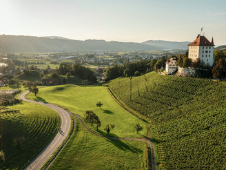 Aussicht auf das Schloss Heidegg im Luzerner Seetal.