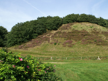 Kleve St. Michaelisdonn Dithmarschen