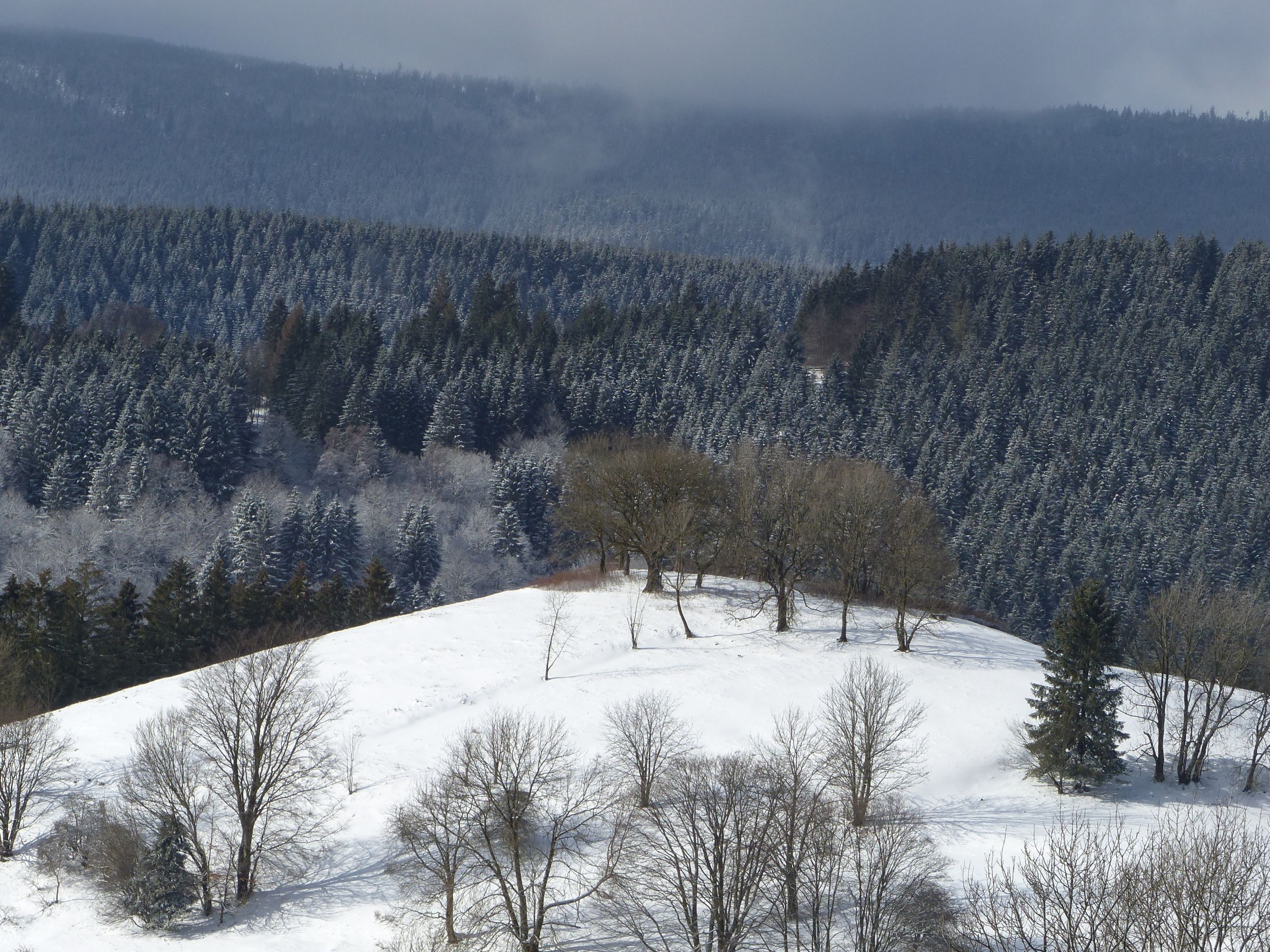 Events & Veranstaltungen im Harz 2024 Harzspots.com