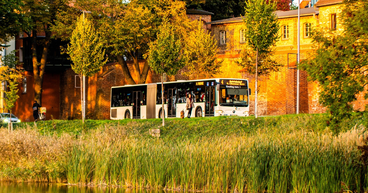 VVR Bus Infothek vvr-bus-infothek