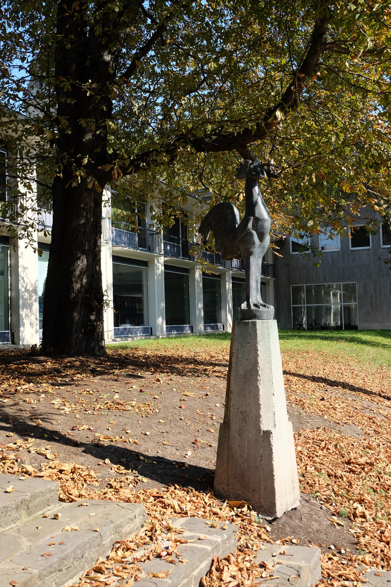 Kölnischer Kunstverein Contemporary art in Cologne