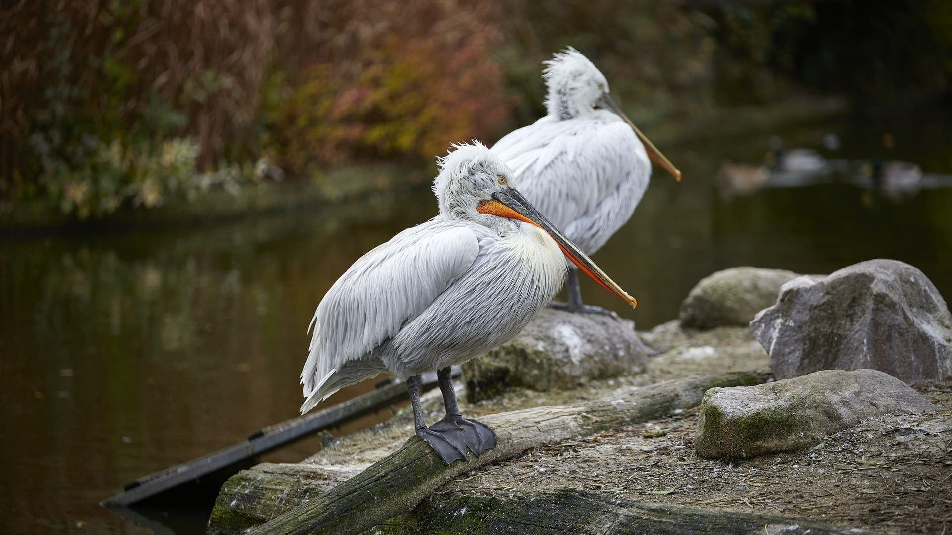 Allwetterzoo Münster