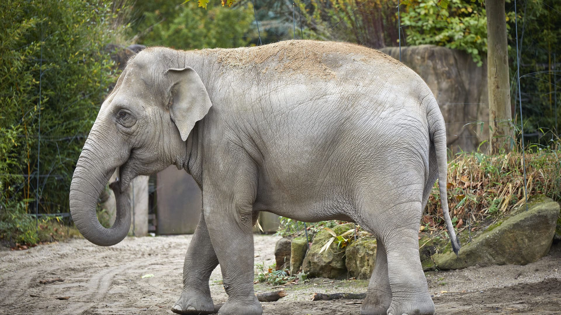 Allwetterzoo Münster