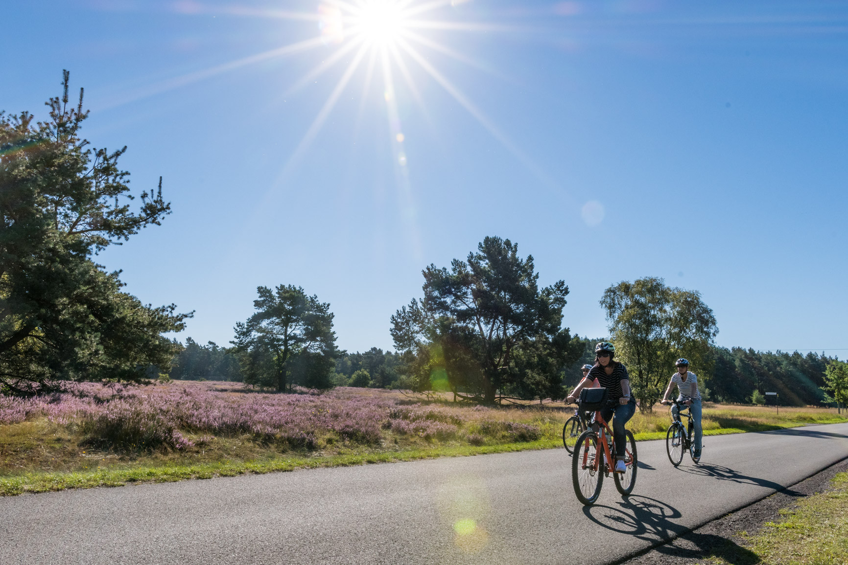 Paderborner Land Route