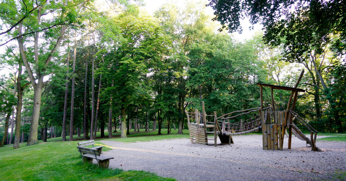 Tannenw ldchen devious-diesel-imgflip