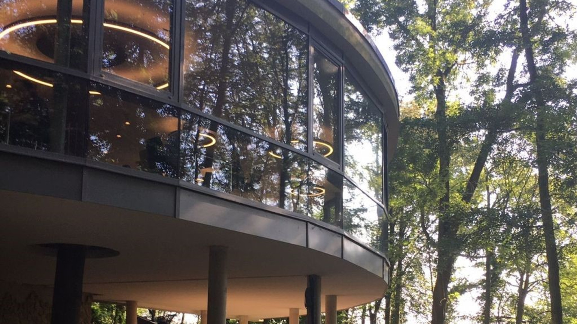 Alternativer Bärenpark WORBIS