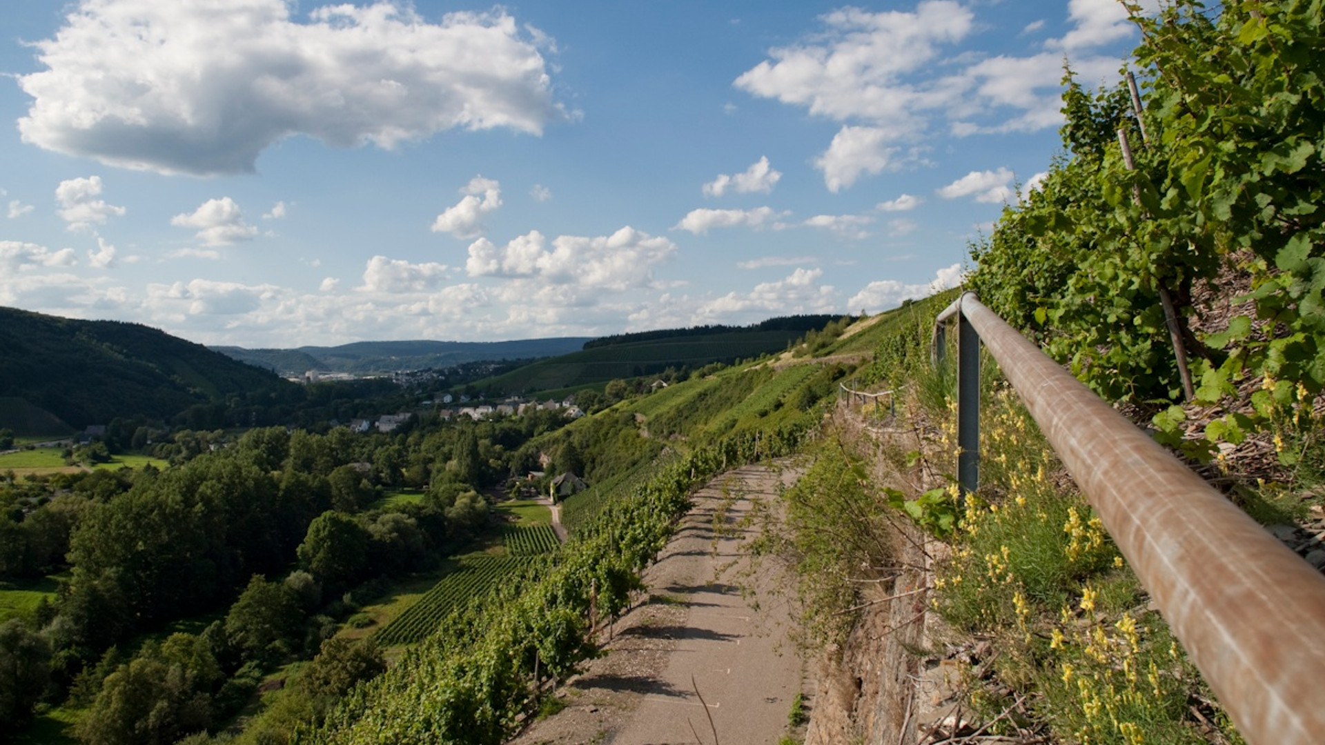 Ruwer-Riesling-Erlebnisweg