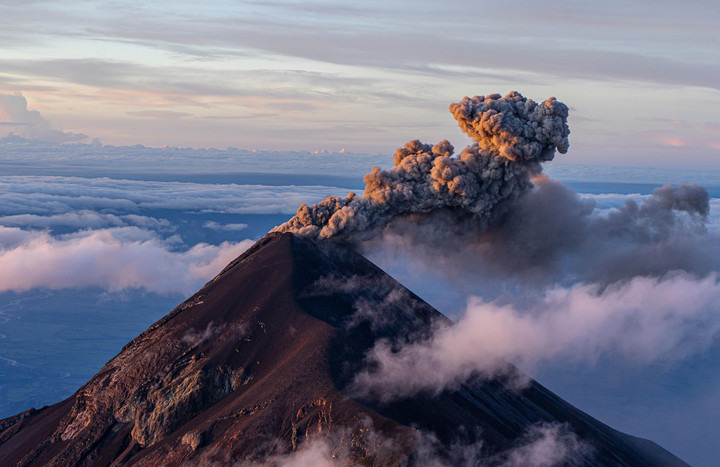 Dominick Vietor Dominick Vietor