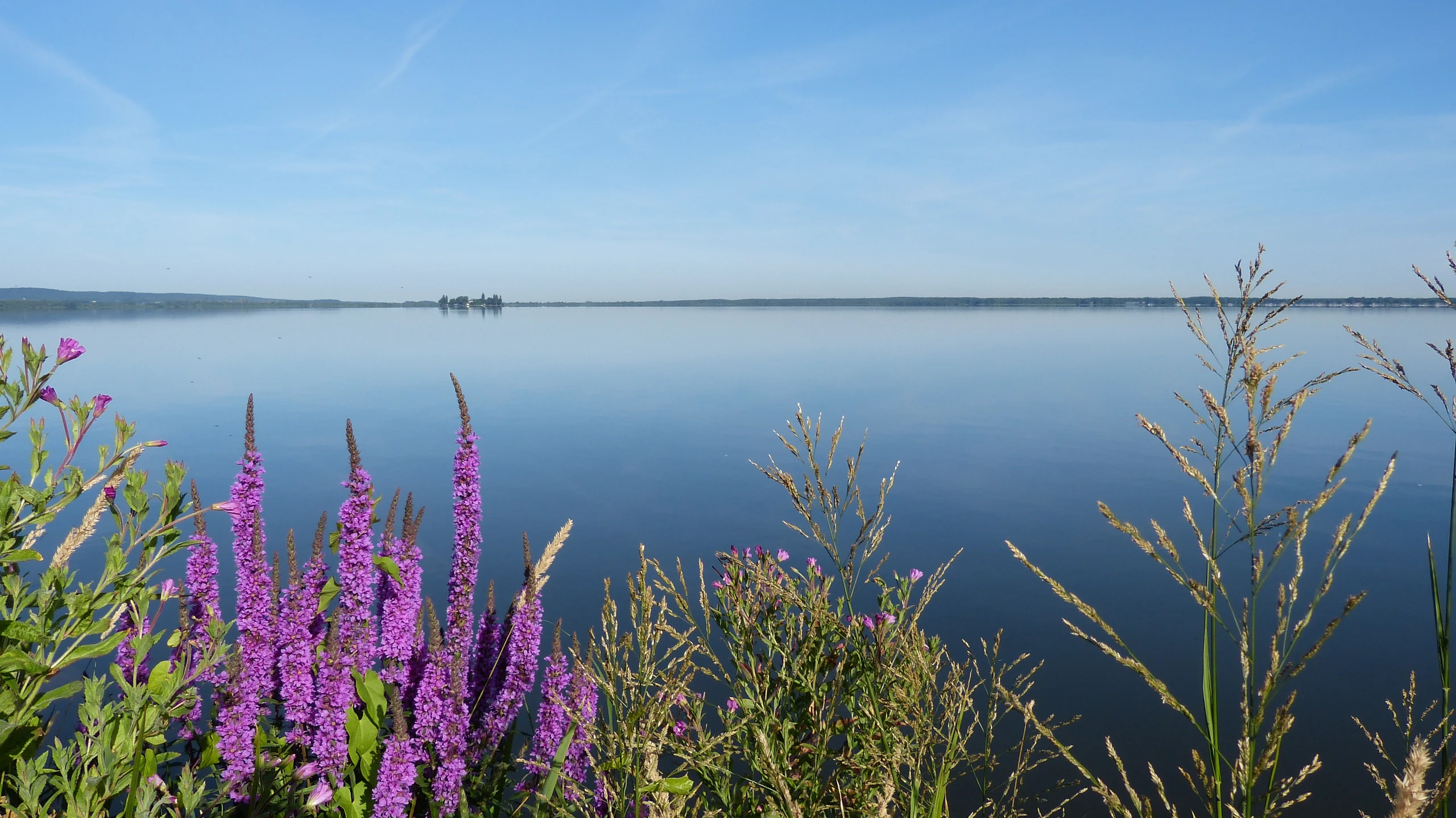 Steinhuder Meer Nature Reserve