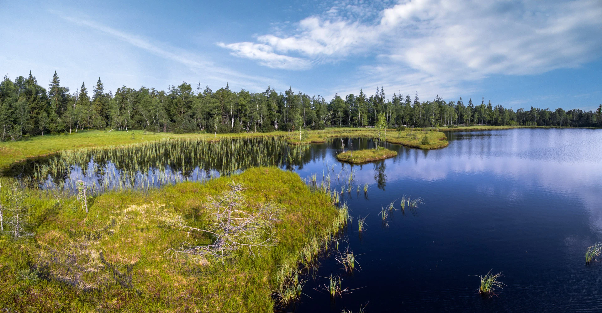 Fran Compusign Gernsbach | Nationalparkregion Schwarzwald