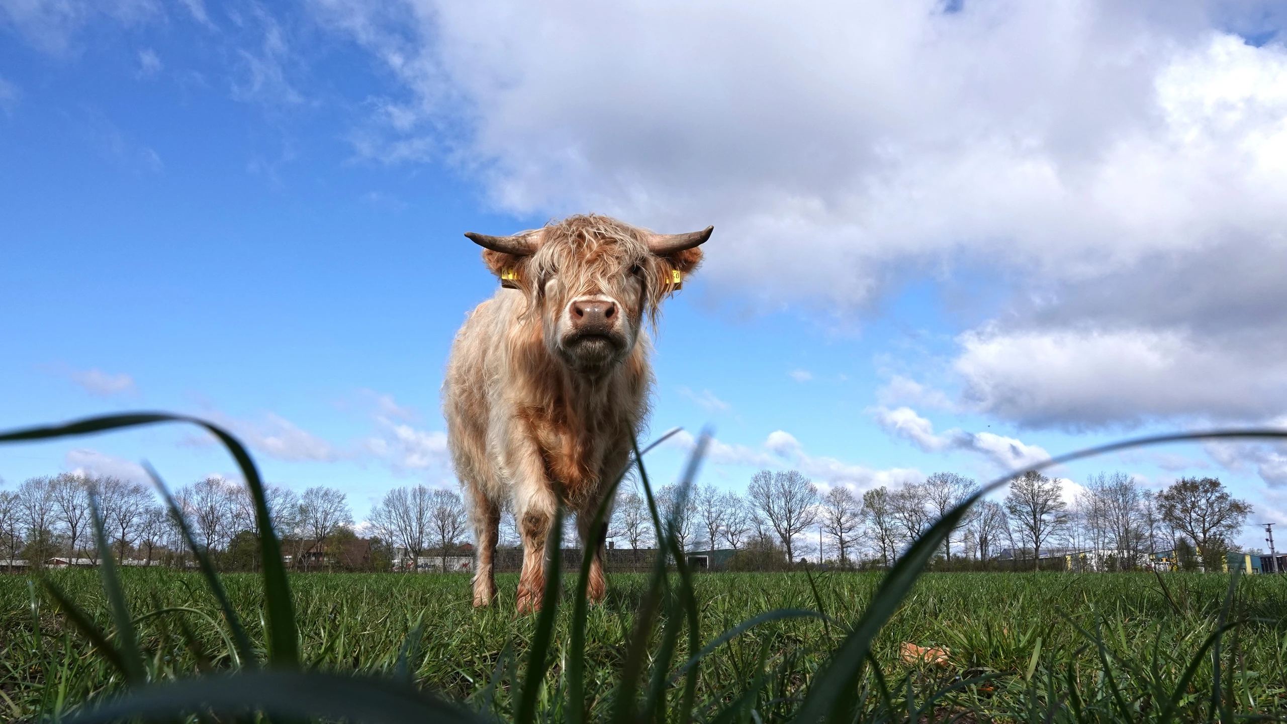 Erateka секс фильм сериясы Жалаңаш сұлу студенттер мұрағаты