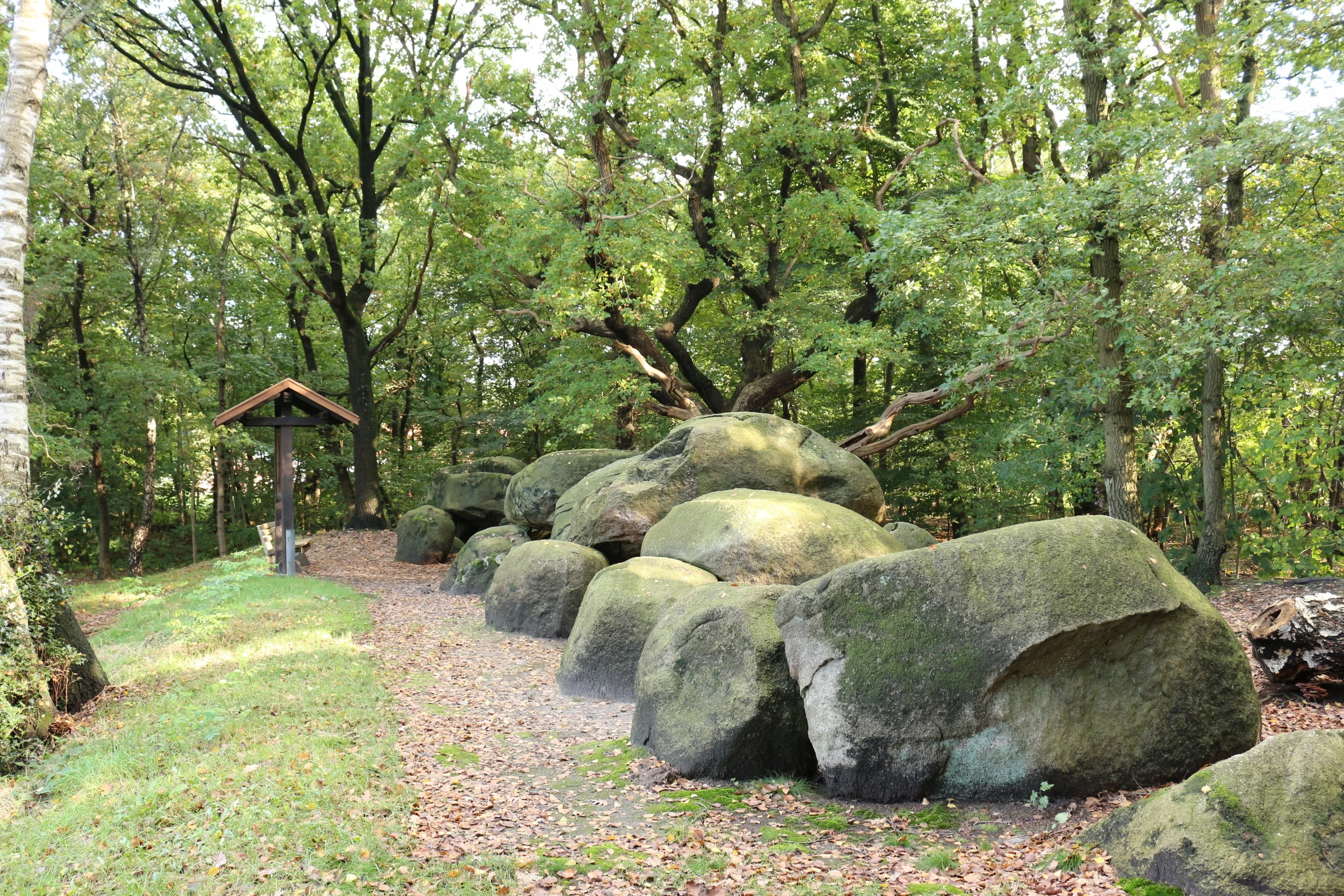 Схема бойынша жыныстық қатынас Онлайн порно: транссексуалды жұлқылау
