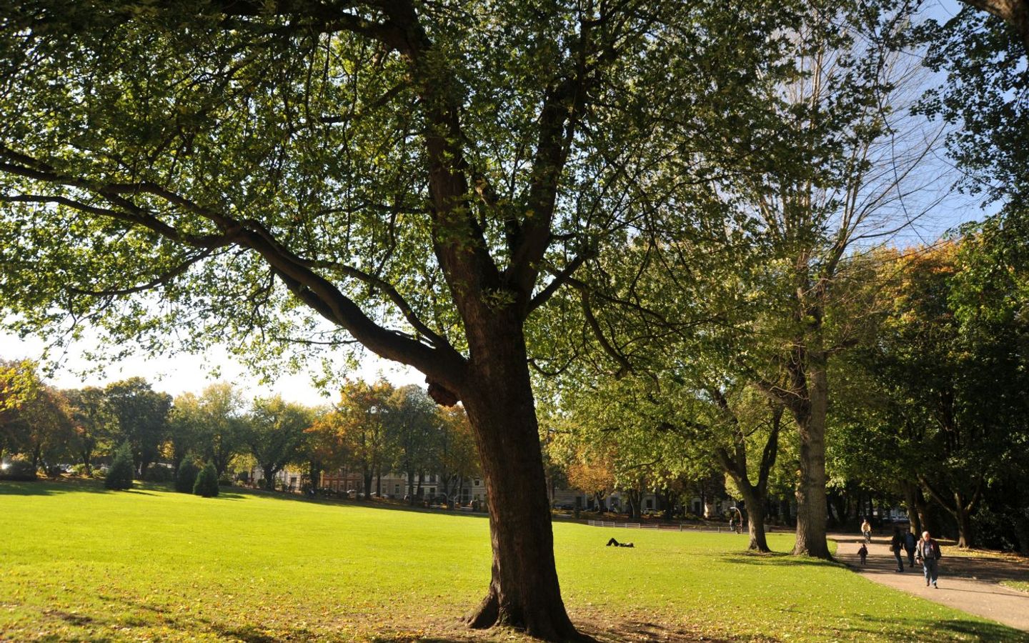 Ferber Park